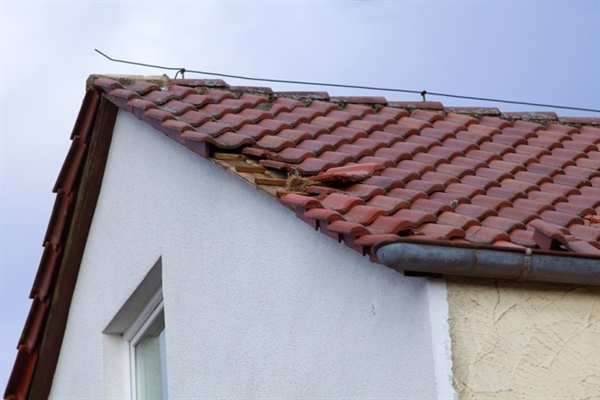 What to Do if You Need Storm Damage Repairs