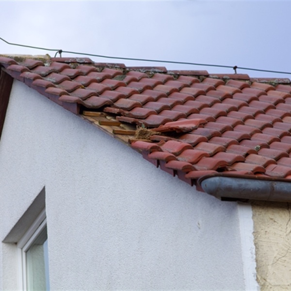 What to Do if You Need Storm Damage Repairs
