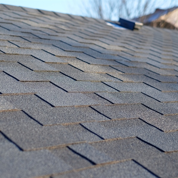 Best Types of Shingles for Twin Cities Homes: The Apple Exteriors Guide