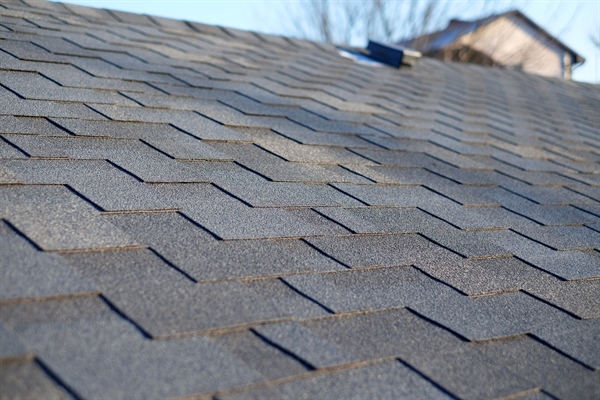 Best Types of Shingles for Twin Cities Homes: The Apple Contruction Guide