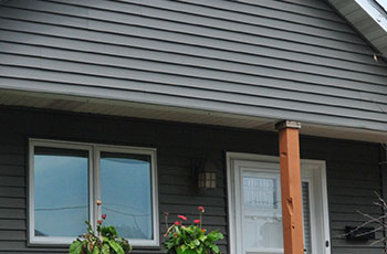 Vinyl Siding